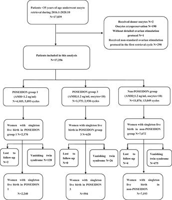 Cumulative live birth rates and birth outcomes after IVF/ICSI treatment cycles in young POSEIDON patients: A real-world study